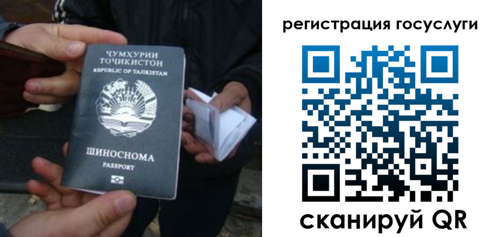 прописка регистрация в Курганинске